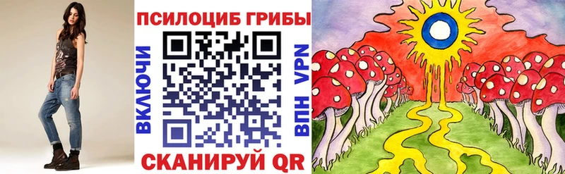 Псилоцибиновые грибы Psilocybe  закладки  Бийск 